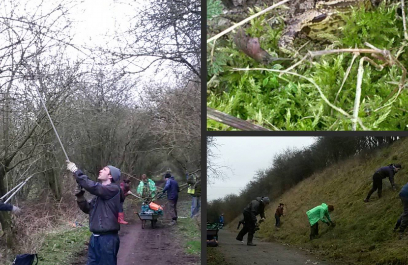 Friends Of The Railway Path At Work