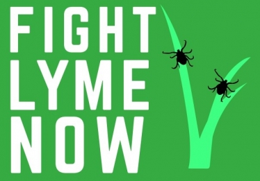 Fight Lyme Now